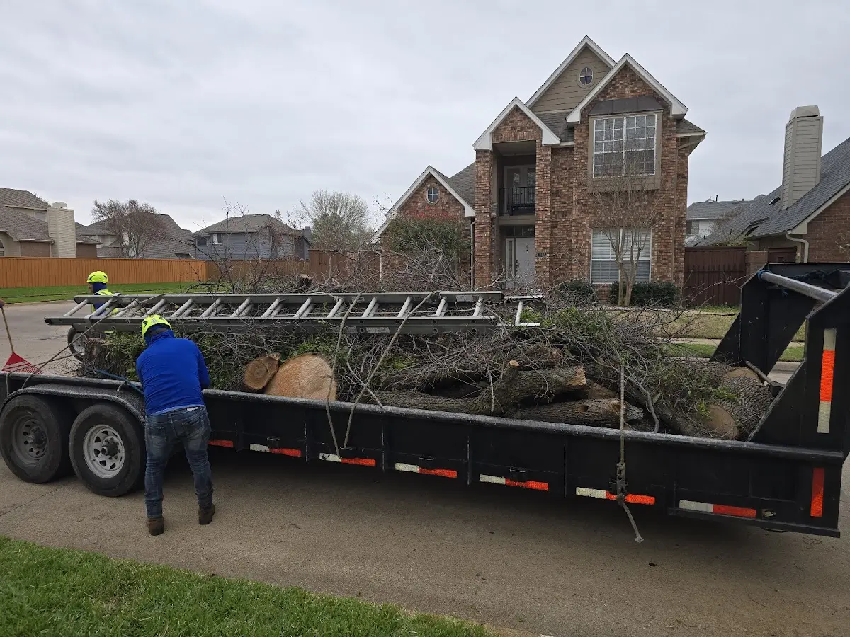 Expert Tree Removal with proper safety equipment in Orchard Park